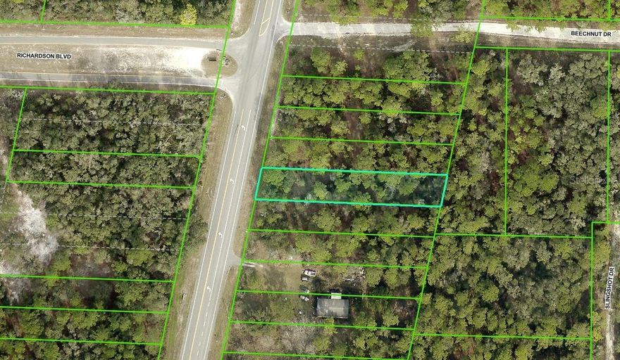 Wooded vacant lot conveniently located near essential amenities. Nearby access to major roads and highways. AE Flood Zone. Buyer to verify all zoning and building questions with the county.