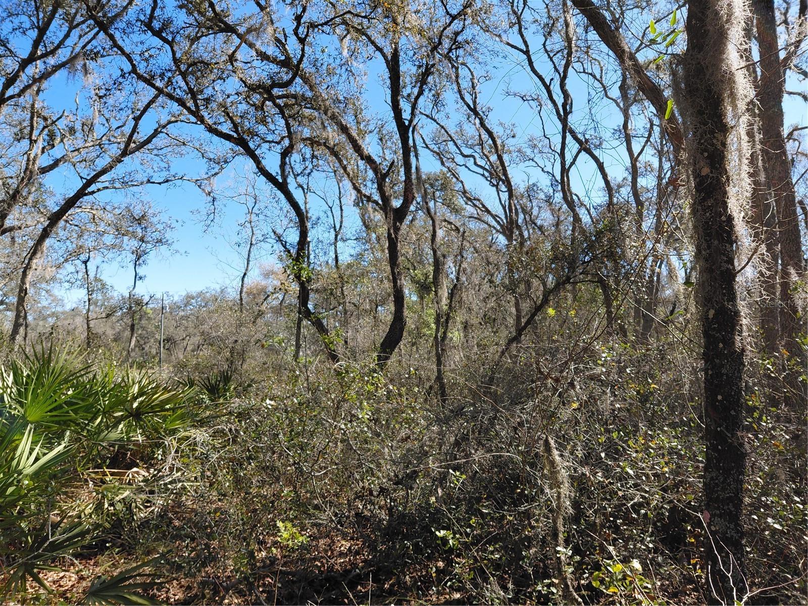 RIDGE MANOR ESTATE - Land