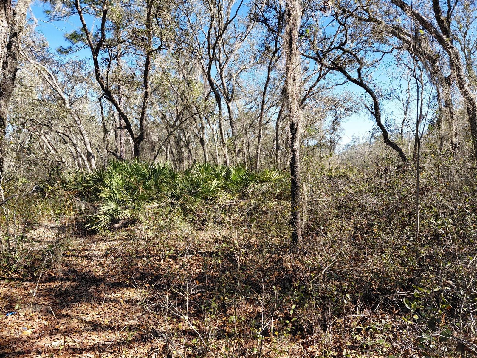 RIDGE MANOR ESTATE - Land