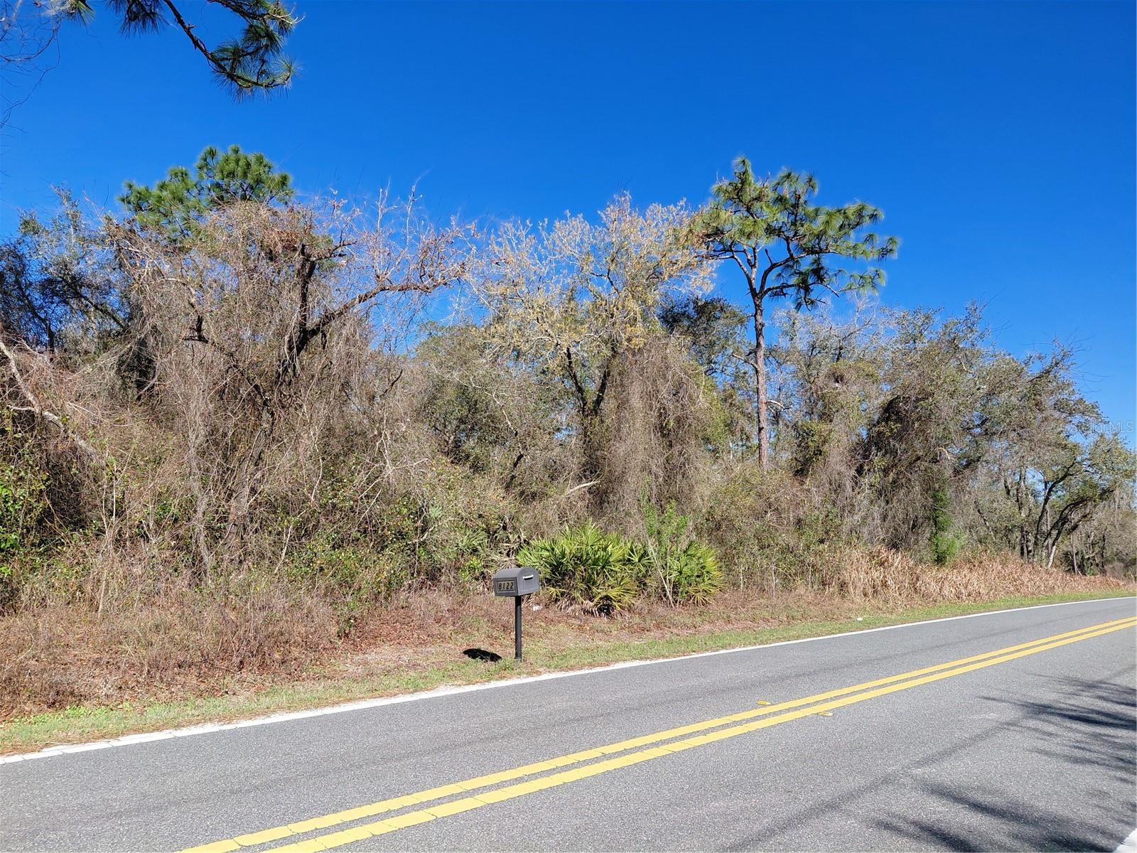 RIDGE MANOR ESTATE - Land