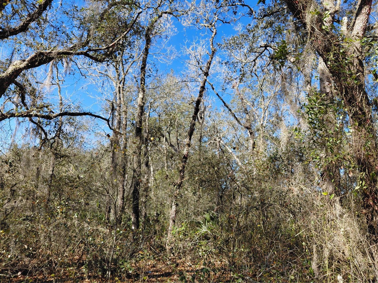 RIDGE MANOR ESTATE - Land