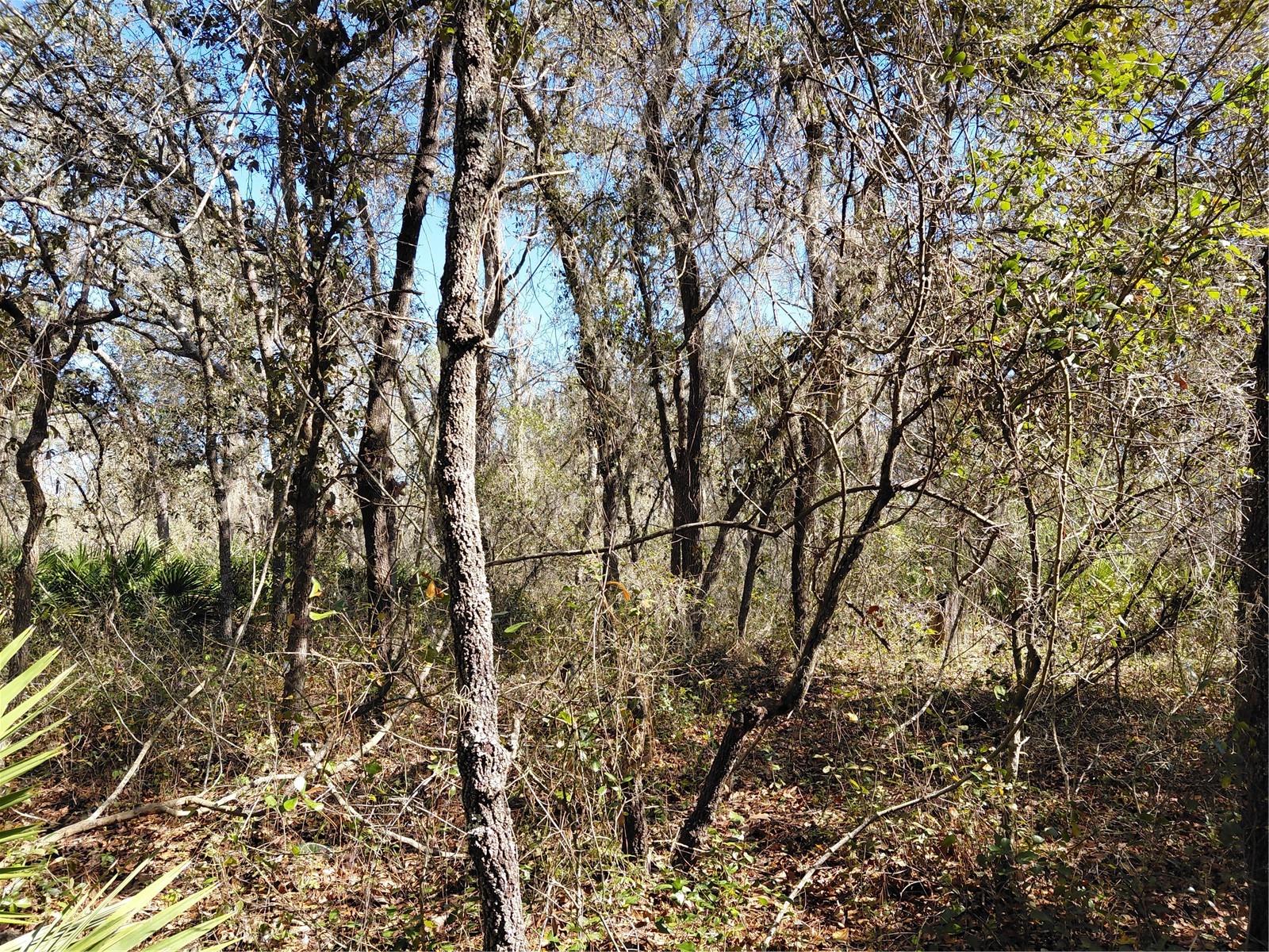 RIDGE MANOR ESTATE - Land