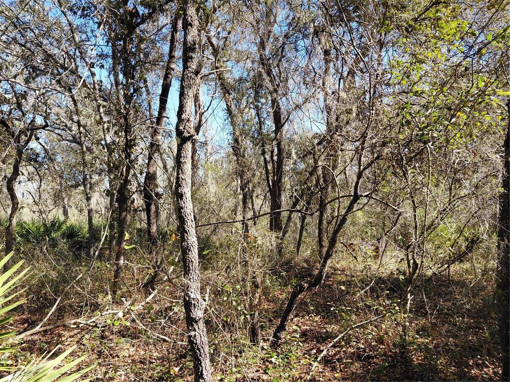 Photo of 8123 Wheystone Drive, Webster, FL 33597 (MLS # G5109742)