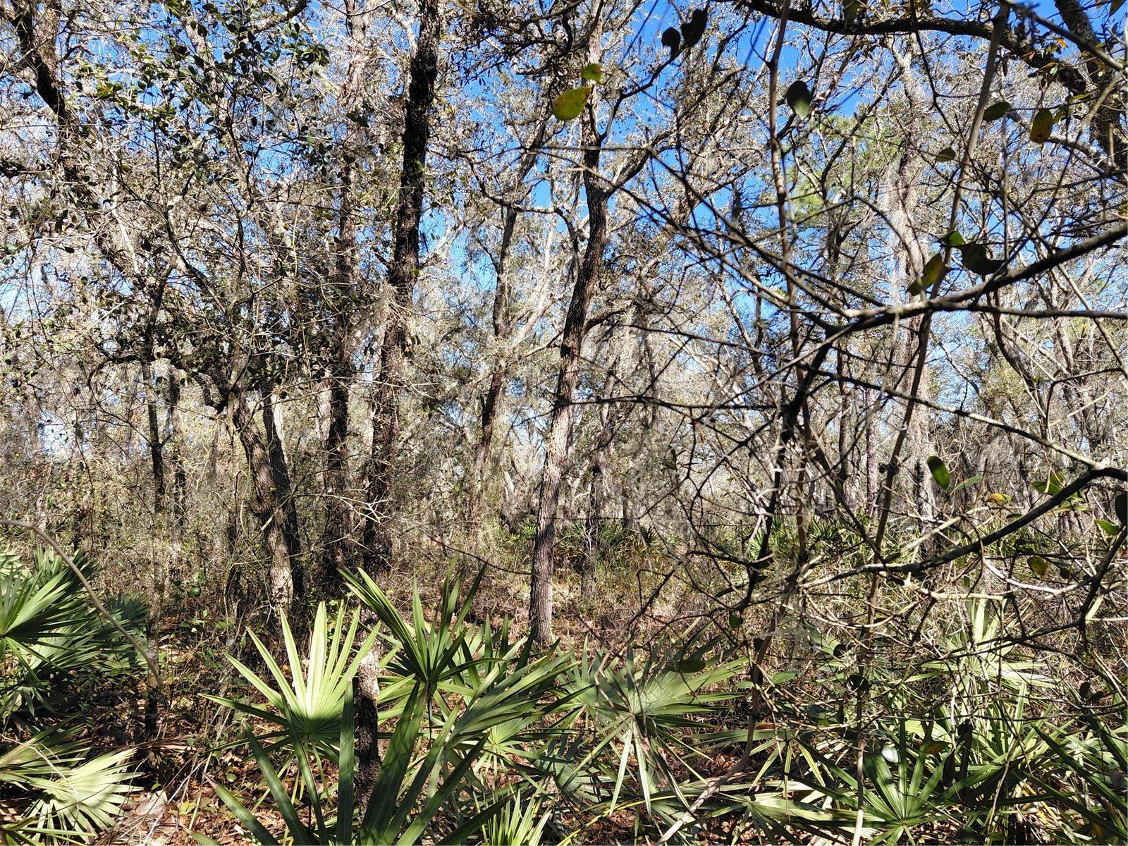 RIDGE MANOR ESTATE - Land