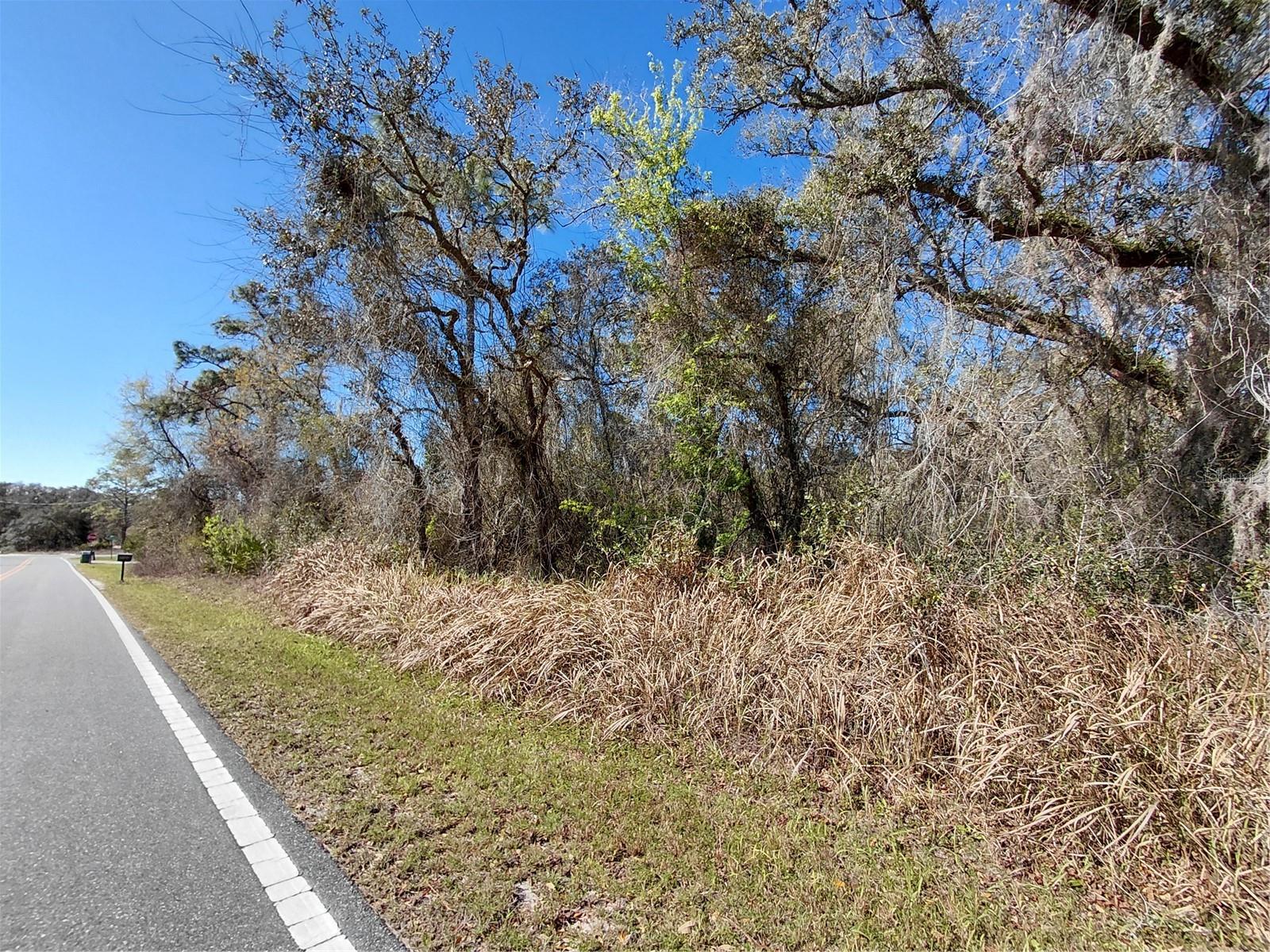 RIDGE MANOR ESTATE - Land