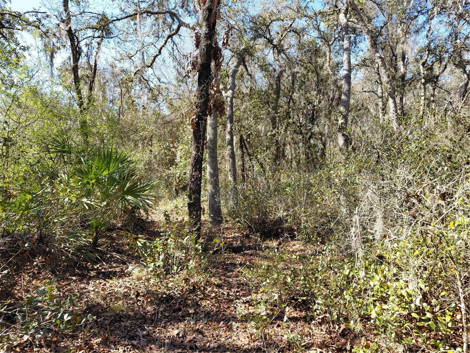 RIDGE MANOR ESTATE - Land