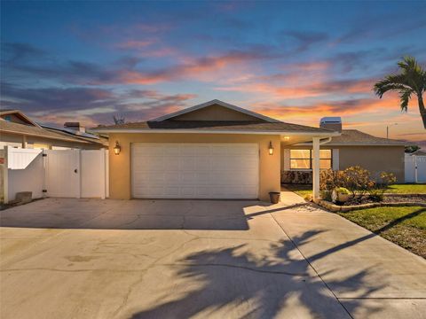 9429 LAURA ANNE DRIVE SEMINOLE FL 33776