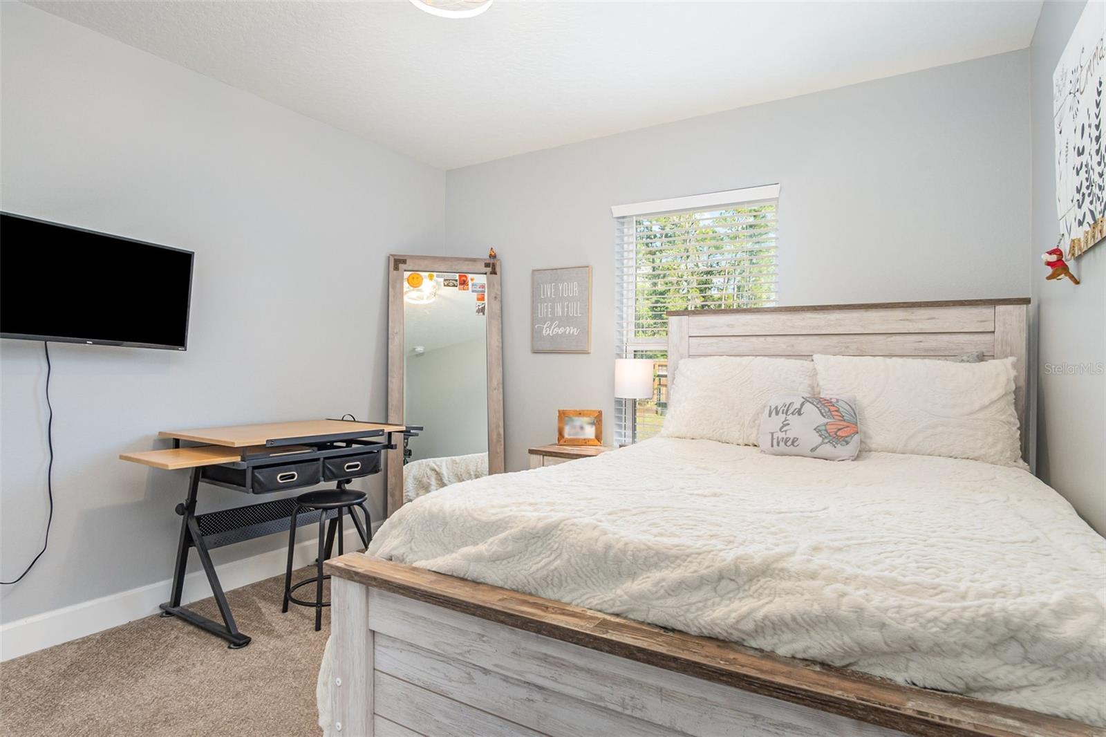 DAYTONA - Residential