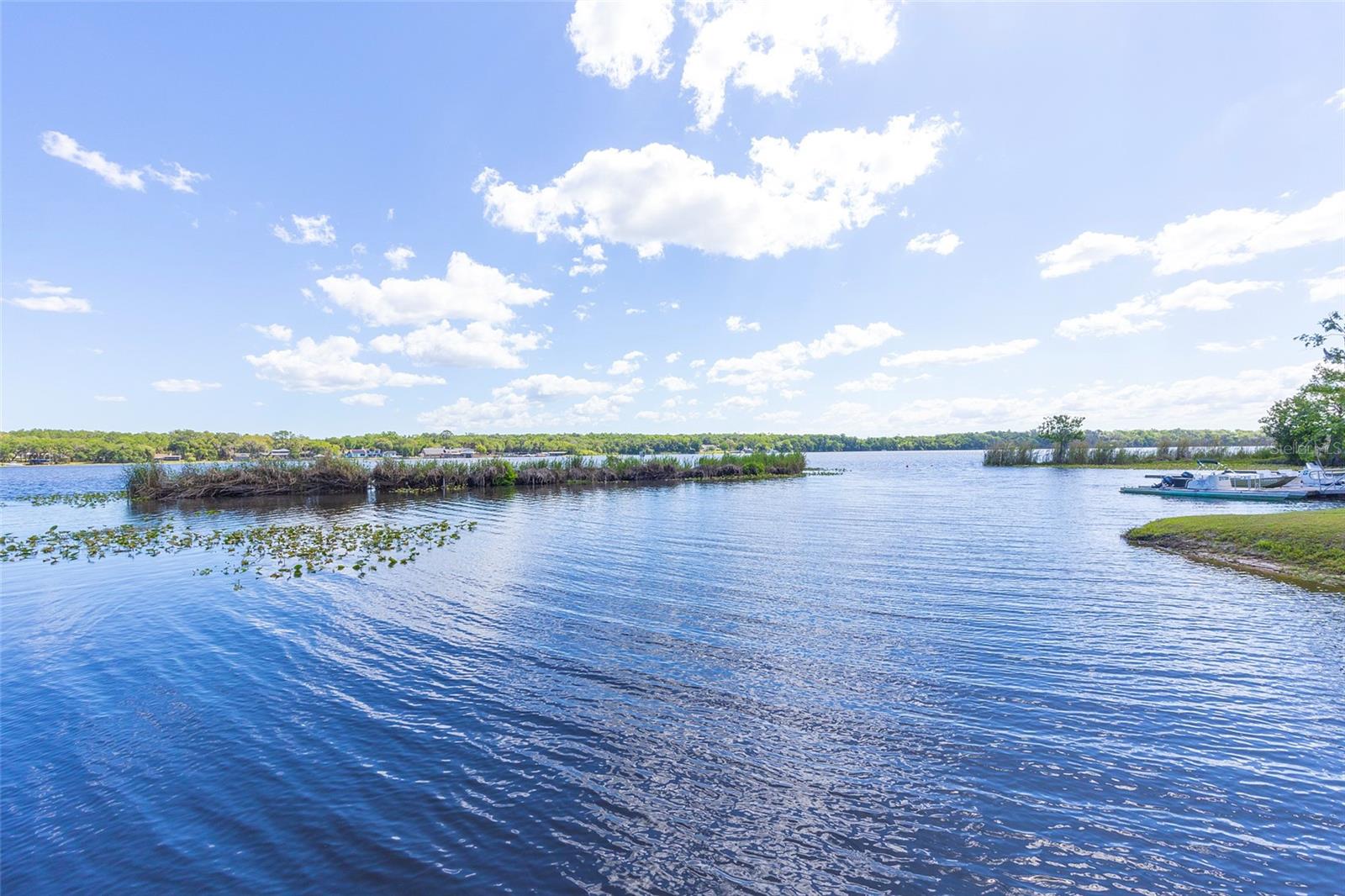 LAKE BERESFORD PALMS - Residential