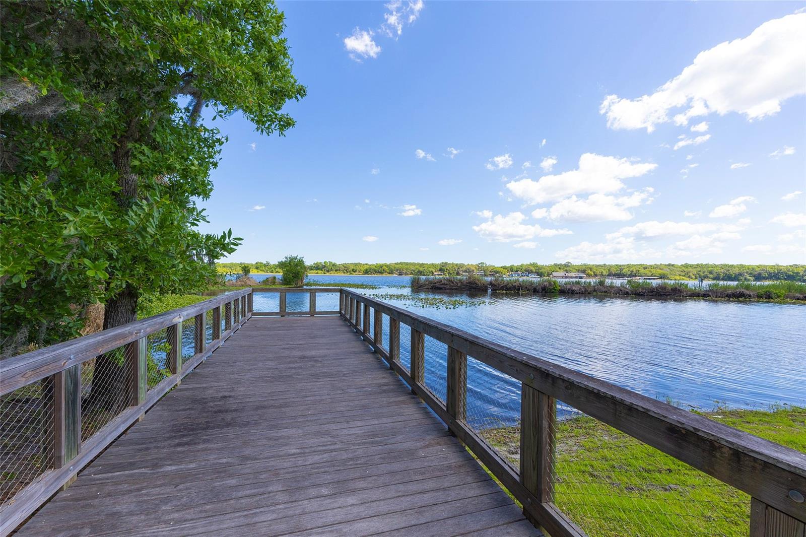 LAKE BERESFORD PALMS - Residential