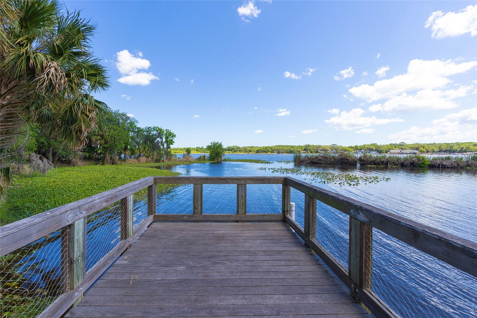 LAKE BERESFORD PALMS - Residential