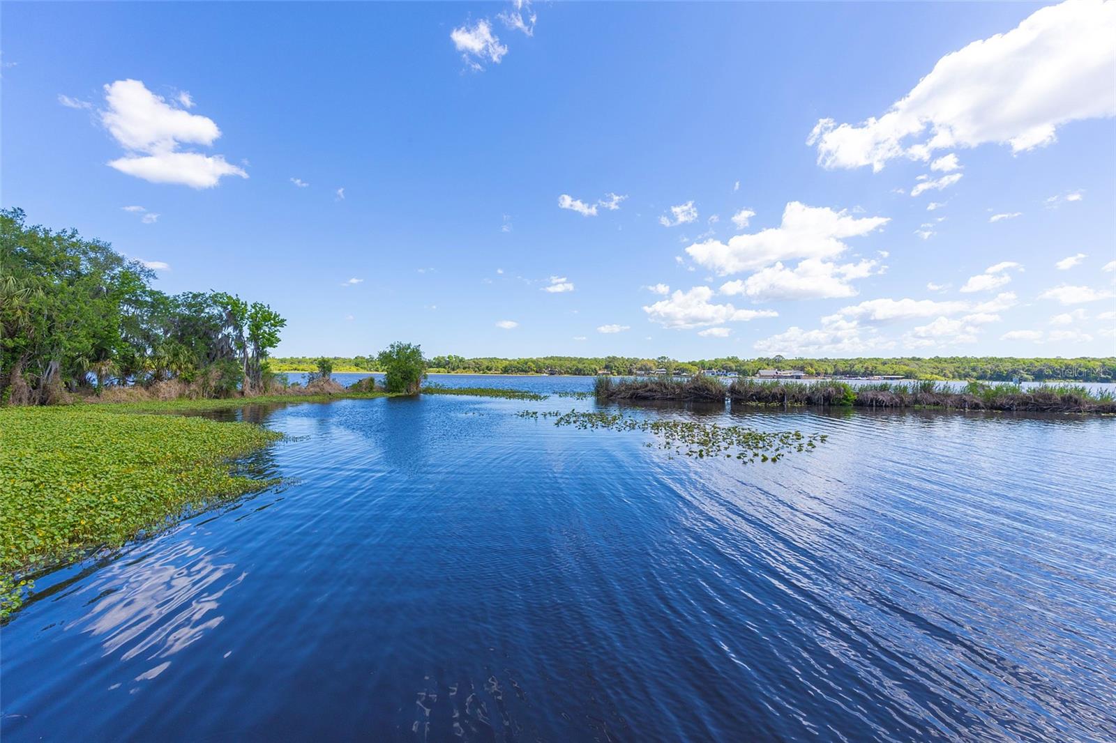 LAKE BERESFORD PALMS - Residential