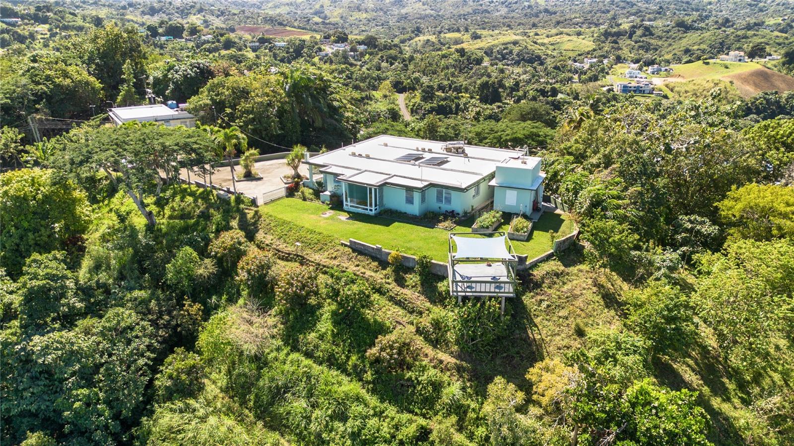 PR 811, k.m. 4.0 interior PALOS BLANCOS SECT. LOS RAMOS