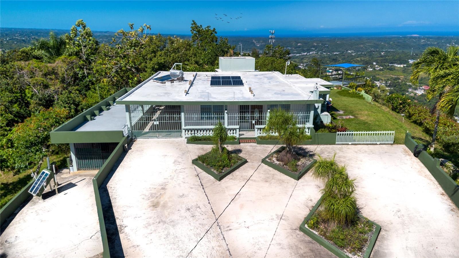 PR 811, k.m. 4.0 interior PALOS BLANCOS SECT. LOS RAMOS