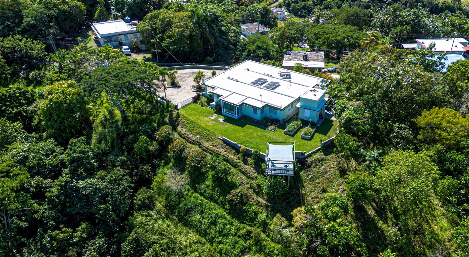 PR 811, k.m. 4.0 interior PALOS BLANCOS SECT. LOS RAMOS