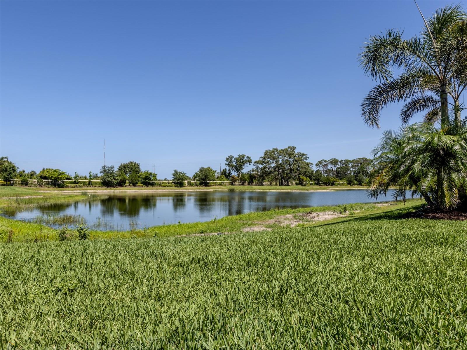 BELLACINA BY CASEY KEY - Residential