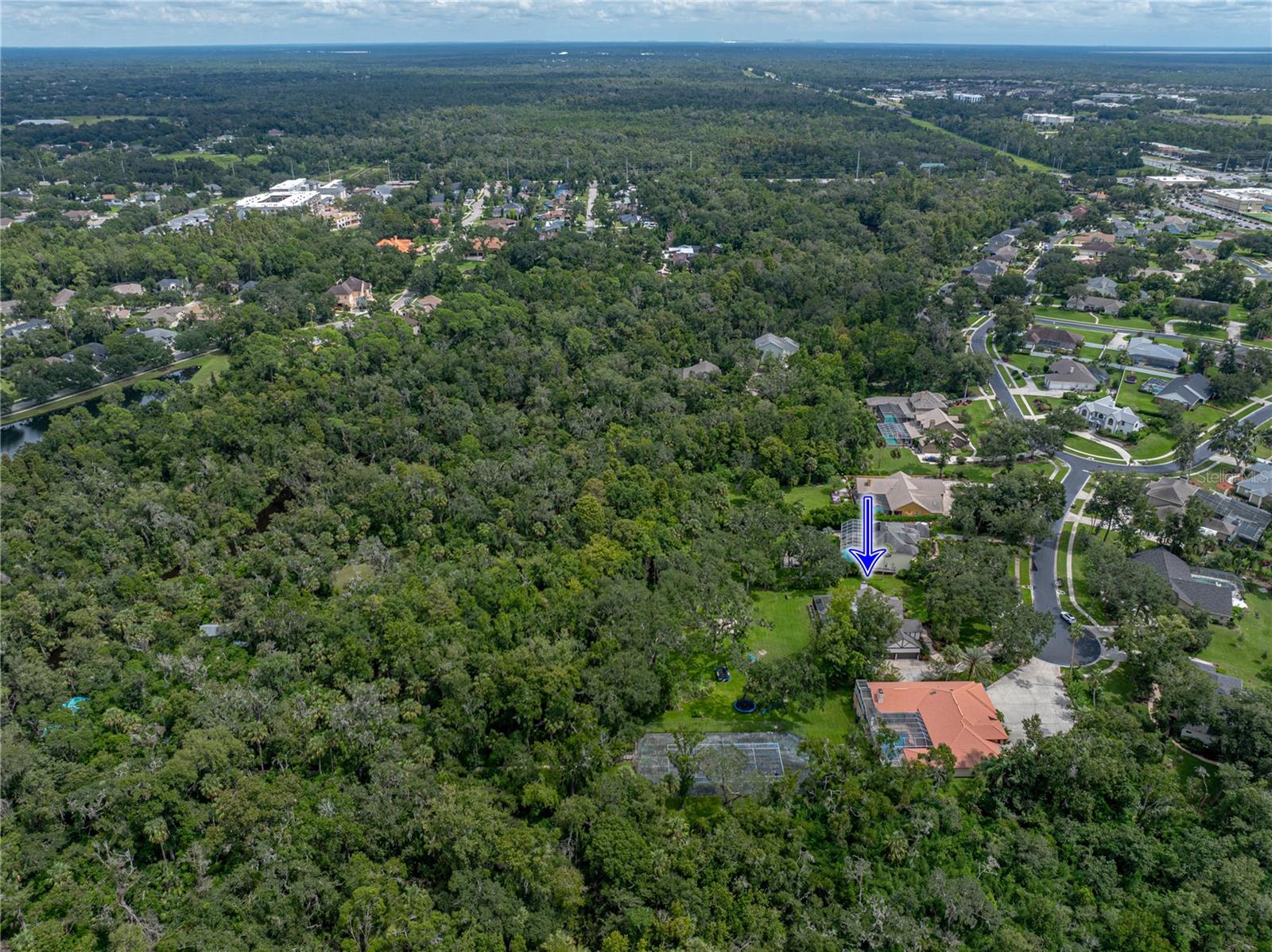 WATERFORD ON THE ALAFIA - Residential