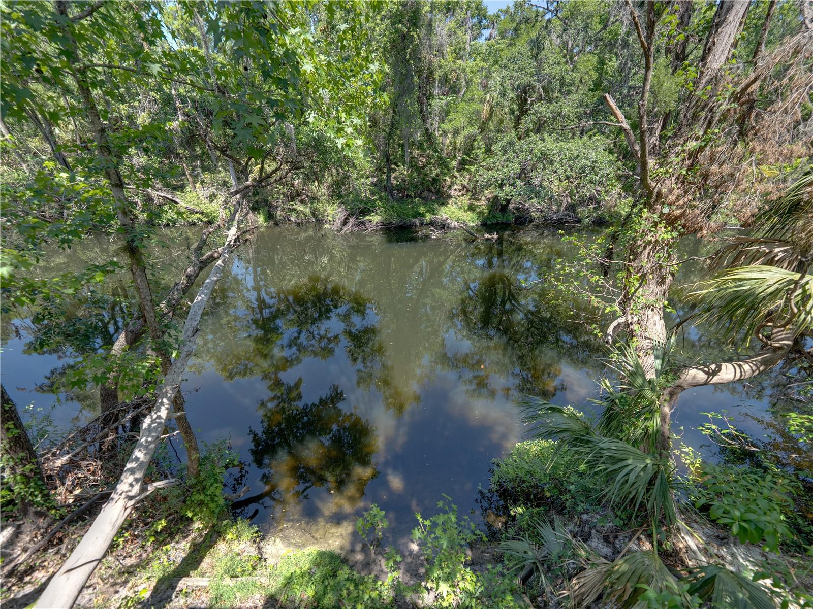 WATERFORD ON THE ALAFIA - Residential