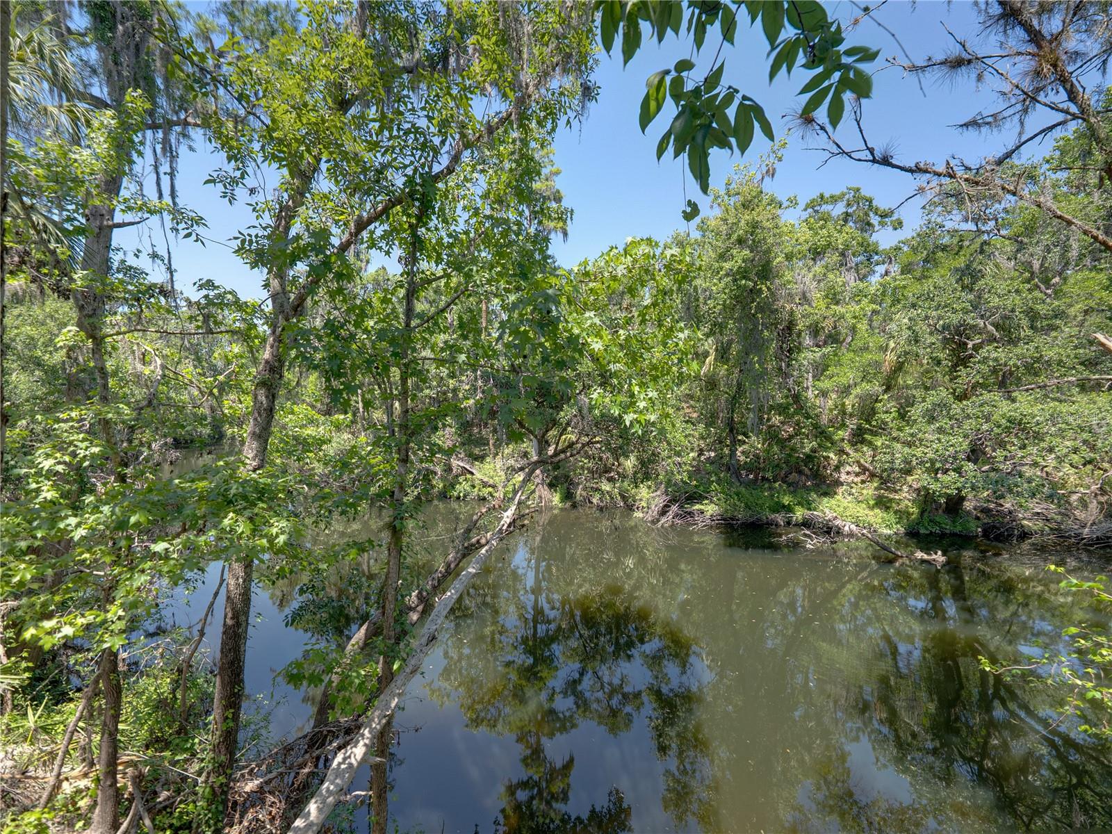 WATERFORD ON THE ALAFIA - Residential