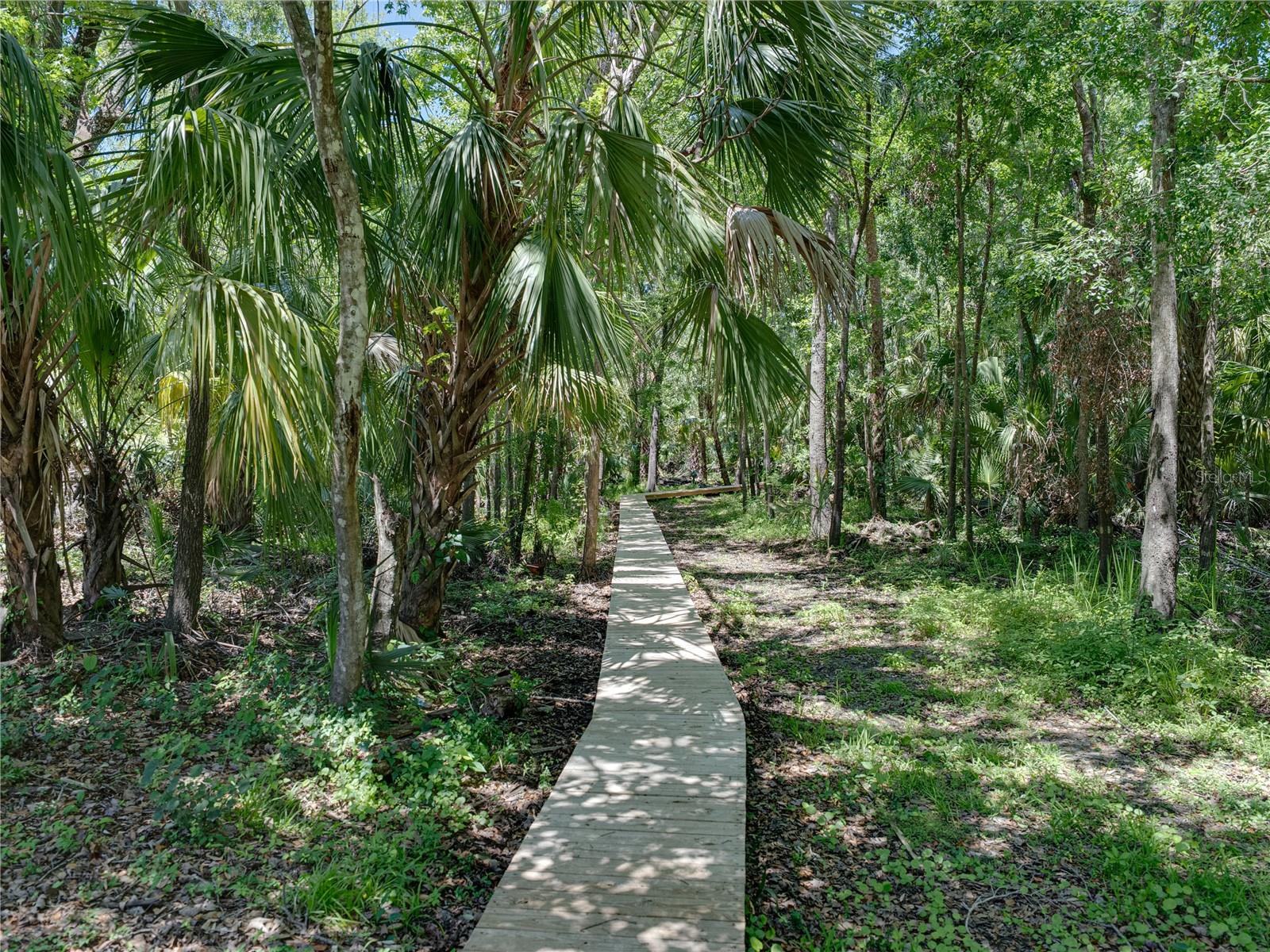 WATERFORD ON THE ALAFIA - Residential