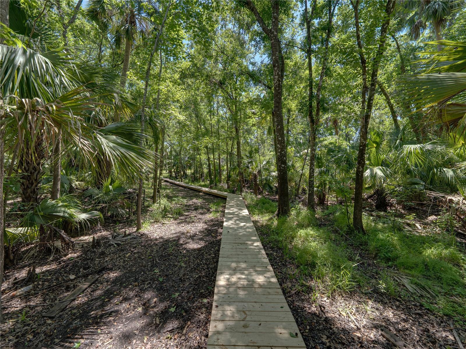 WATERFORD ON THE ALAFIA - Residential