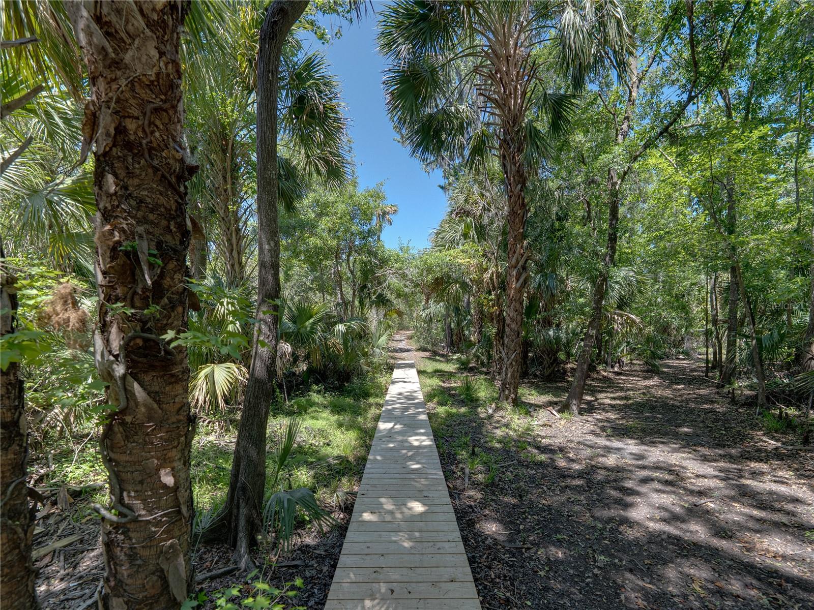 WATERFORD ON THE ALAFIA - Residential