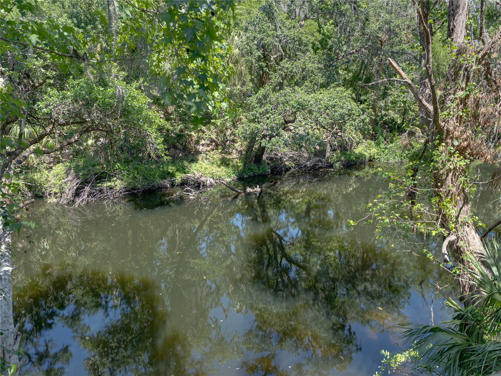 WATERFORD ON THE ALAFIA - Residential