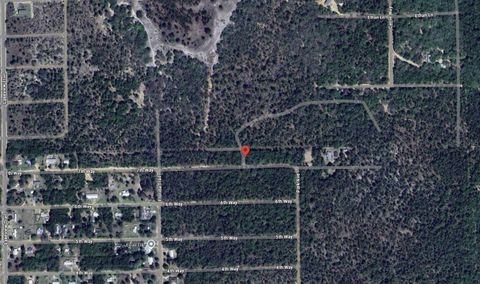 134 7TH WAY INTERLACHEN FL 32148