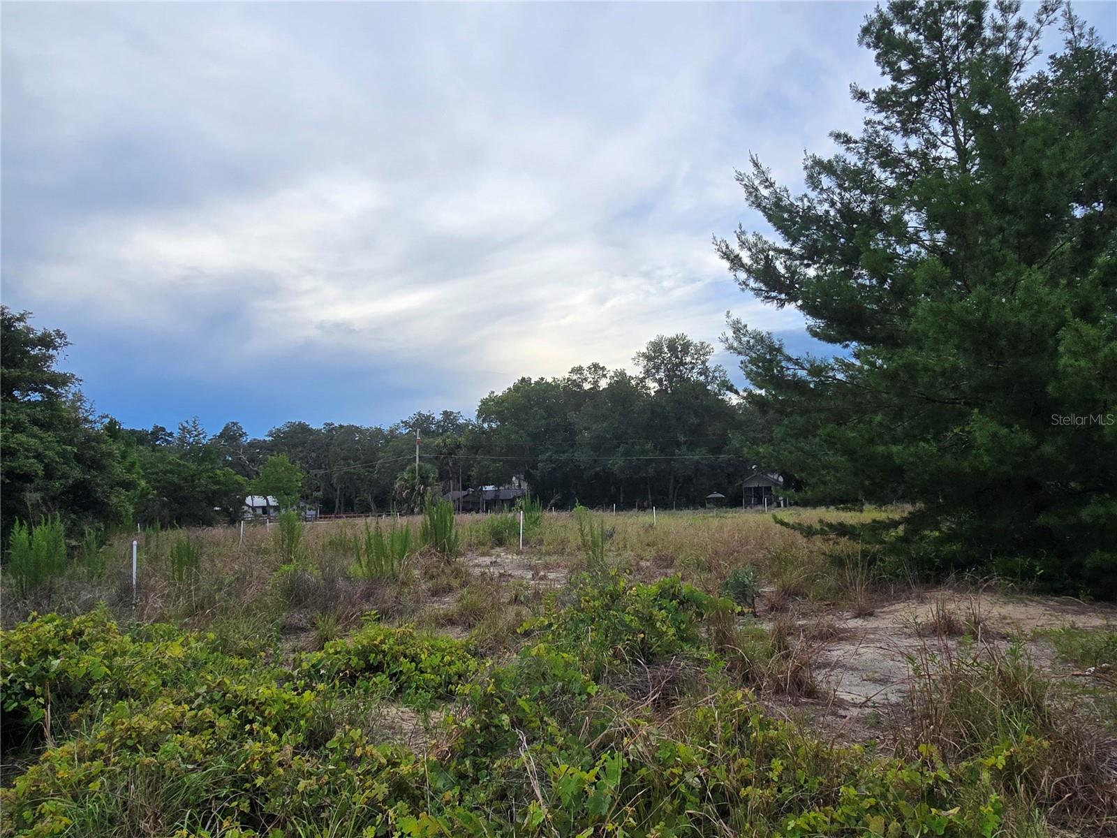 HARPER ROAD