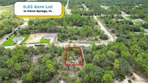 6688 N SAND DRIVE DUNNELLON FL 34433