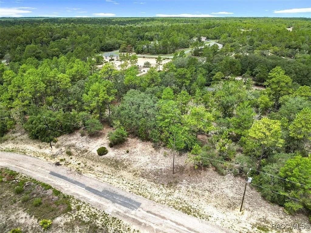 Photo of 6688 N Sand Drive, Dunnellon, FL 34433 (MLS # TB8498387)