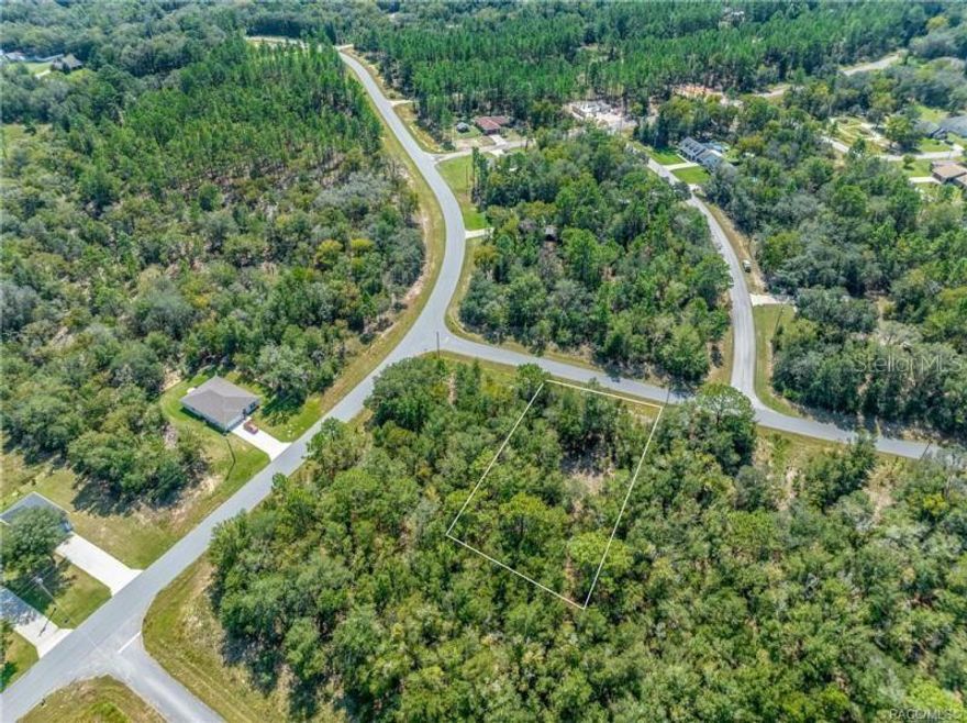 Build your dream home in the beautiful community of Citrus Springs! This deed-restricted neighborhood offers the best of both worlds — the peace of nature and the convenience of nearby amenities — all with no HOA fees. Enjoy outdoor activities with the Withlacoochee State Trail nearby, plus local tennis courts and a community park right within the subdivision. Just a short drive from the stunning Rainbow River and only 28 miles to Ocala, you’ll find plenty to explore. With many reputable local builders to choose from, your new home vision can easily become a reality in Citrus Springs.