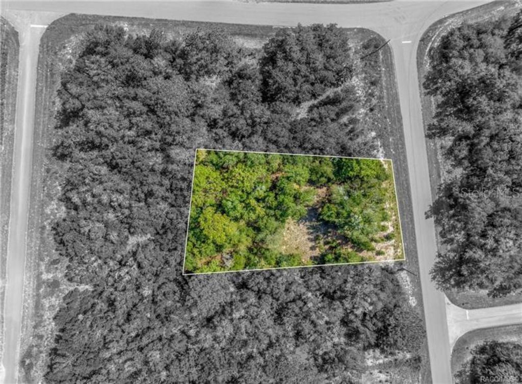 Photo of 11114 N Haitian Drive, Citrus Springs, FL 34434 (MLS # OM714947)