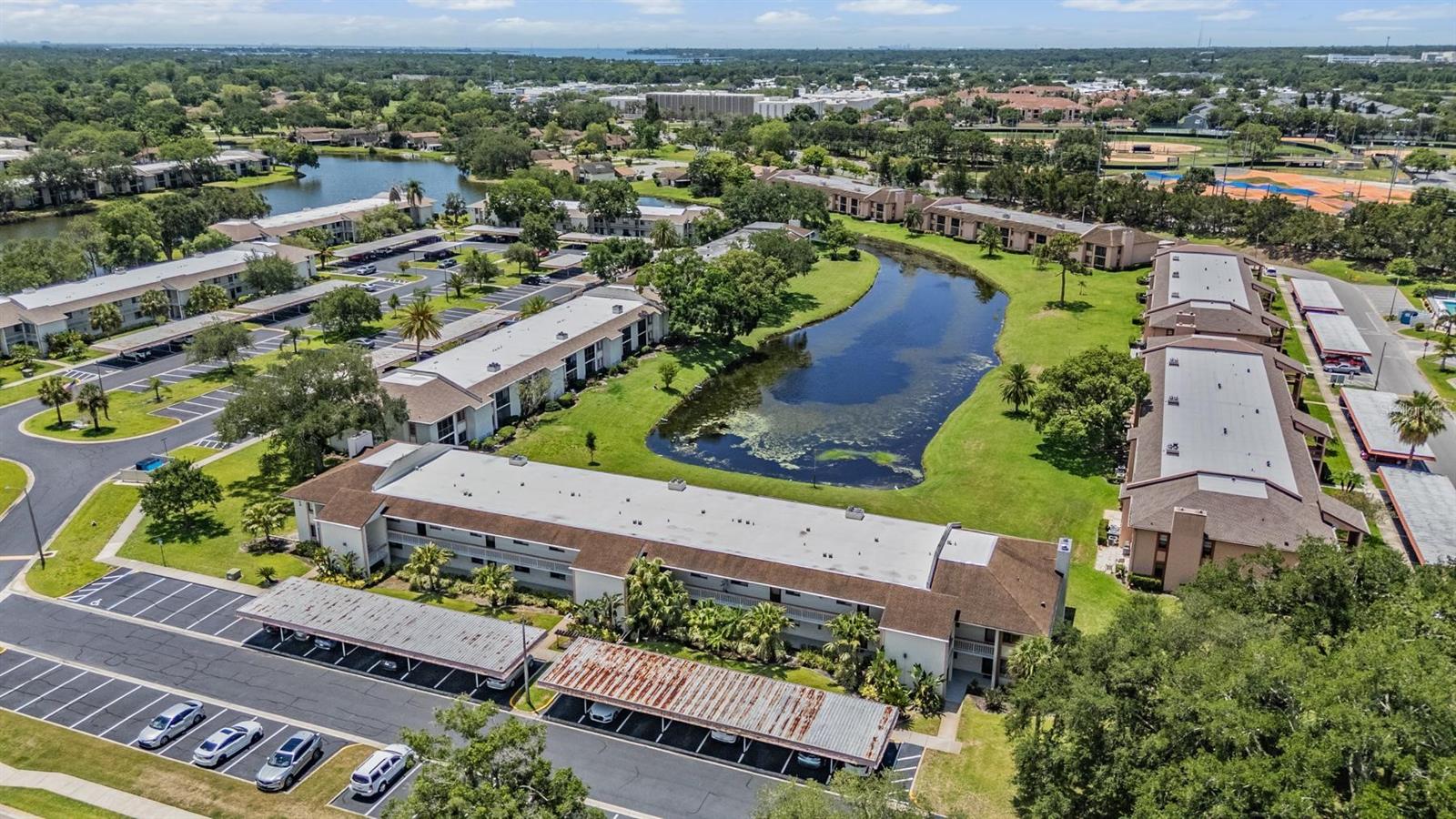 EAST LAKE WOODLANDS CONDO - Residential