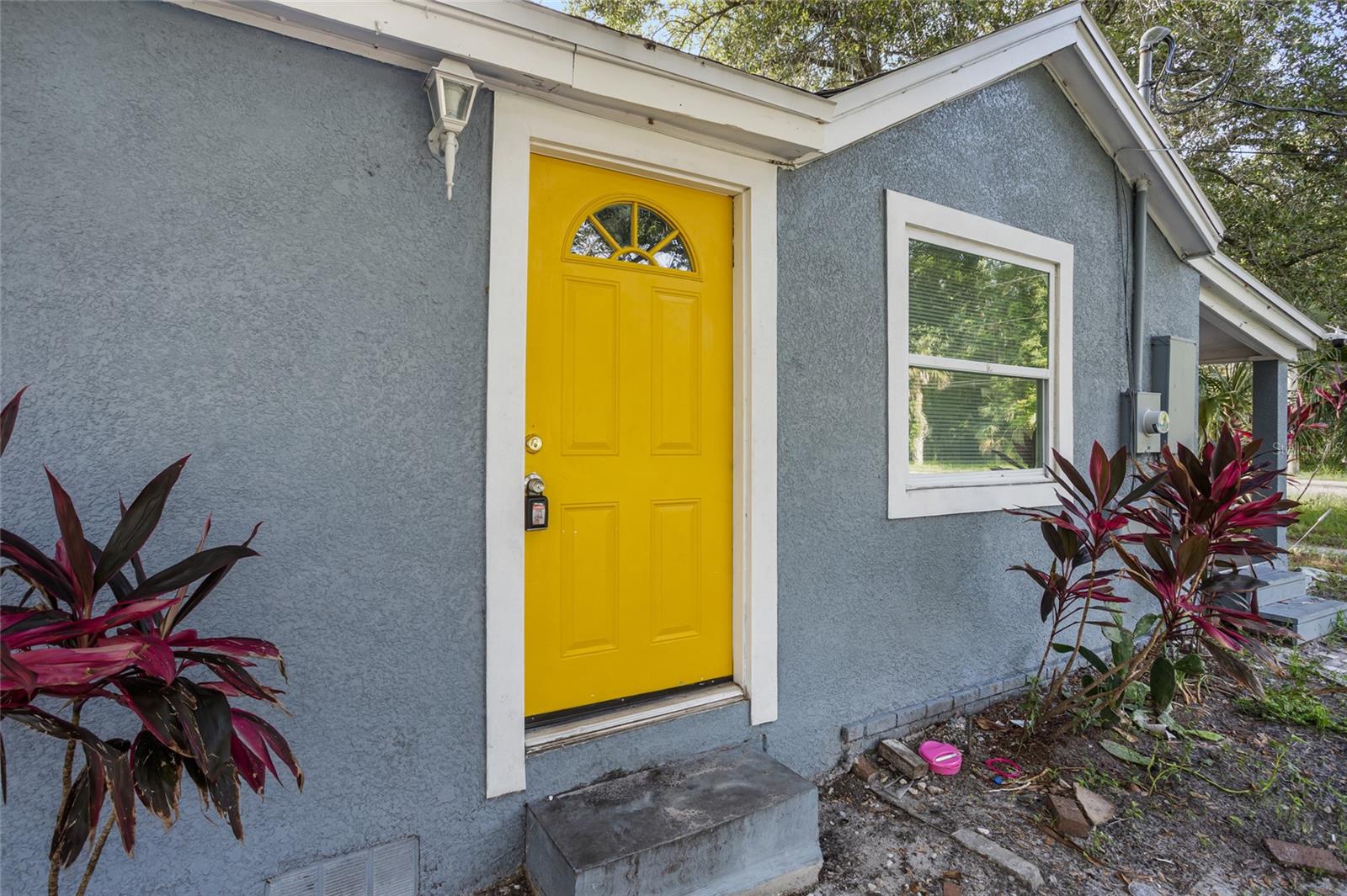 906 CELERY AVENUE