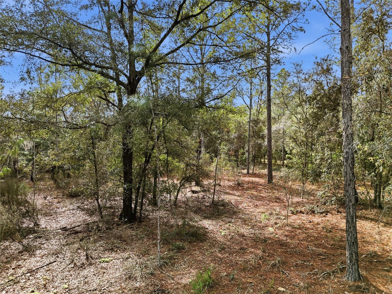 GREEN PATCH COUNTRY ESTATE - Land