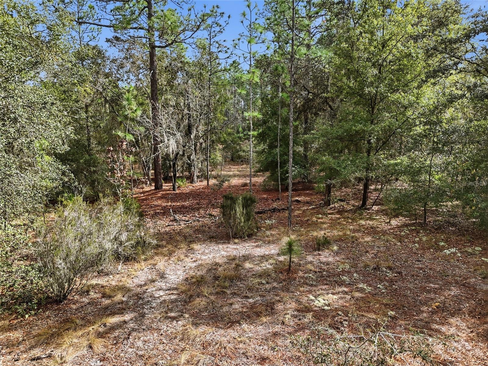 GREEN PATCH COUNTRY ESTATE - Land