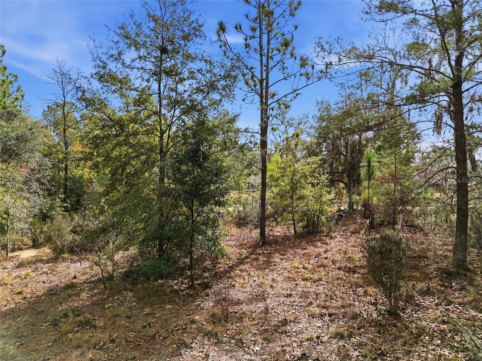 GREEN PATCH COUNTRY ESTATE - Land