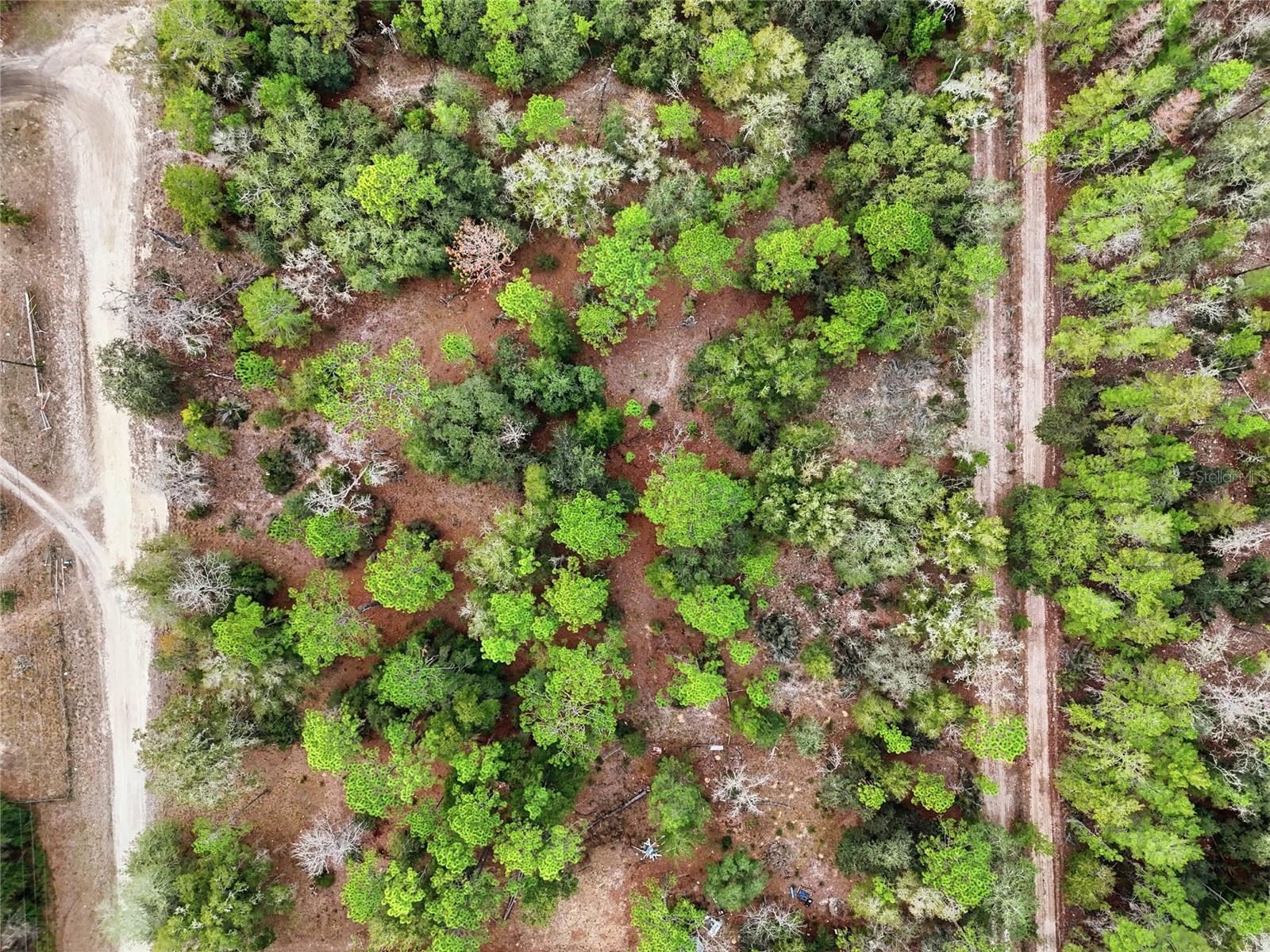 GREEN PATCH COUNTRY ESTATE - Land