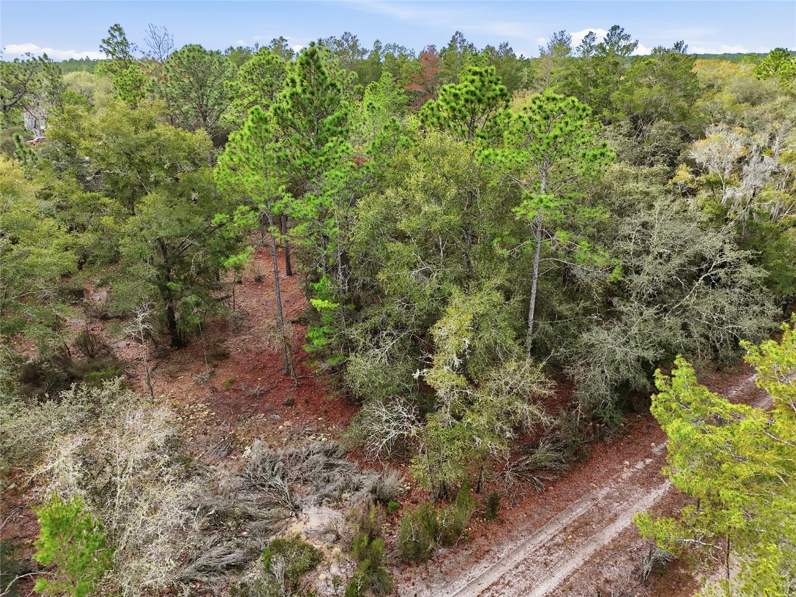 GREEN PATCH COUNTRY ESTATE - Land