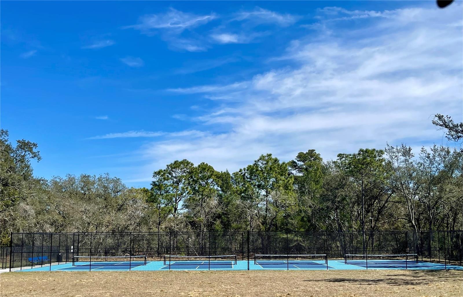 BARRINGTON AT STERLING HILL - Residential