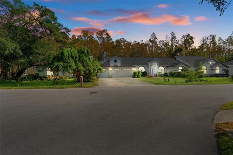 A home in NEW PORT RICHEY