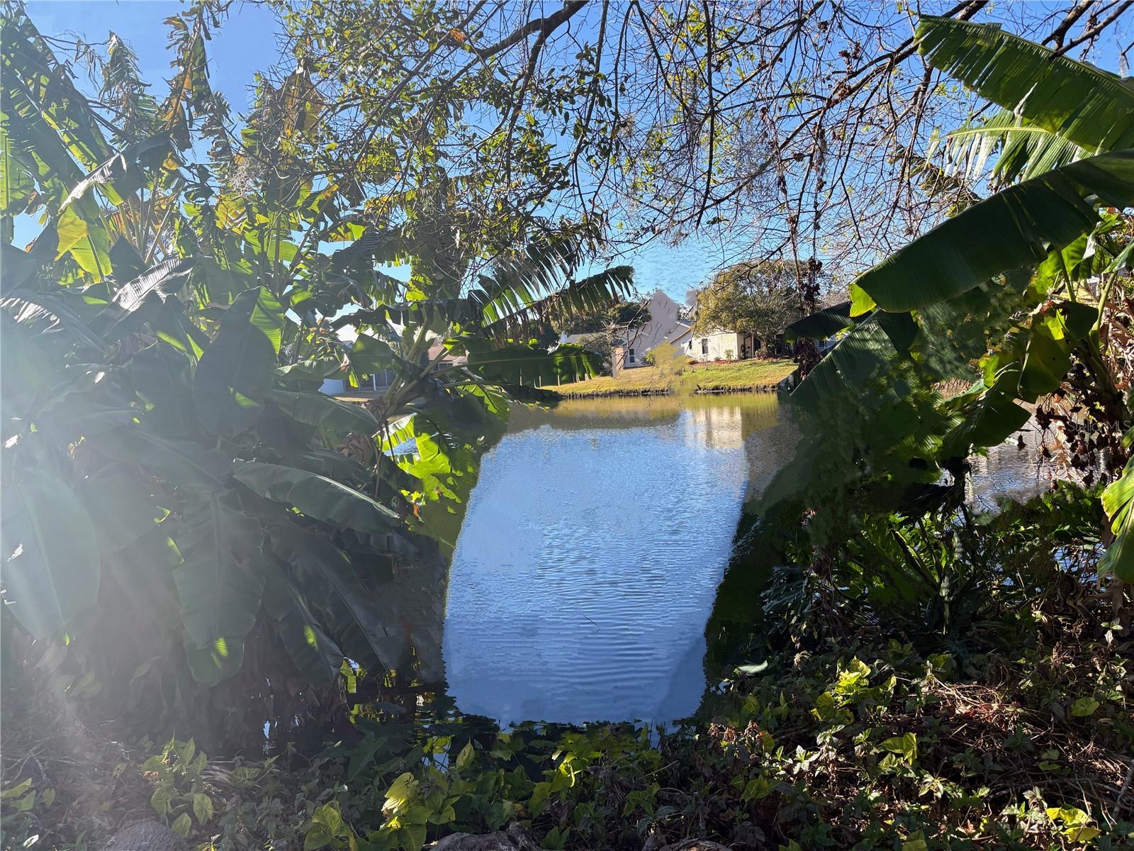 WEDGEWOOD TENNIS VILLAS - Residential