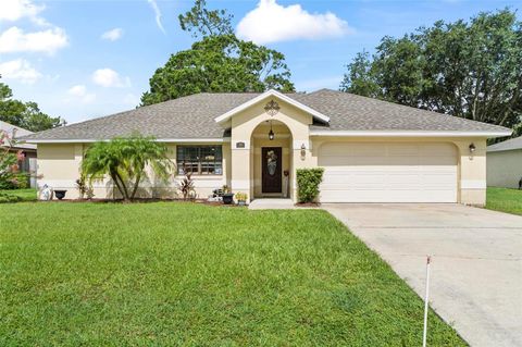 Photo of 39 Brunett Lane, Palm Coast, FL 32137 (MLS # FC316164)