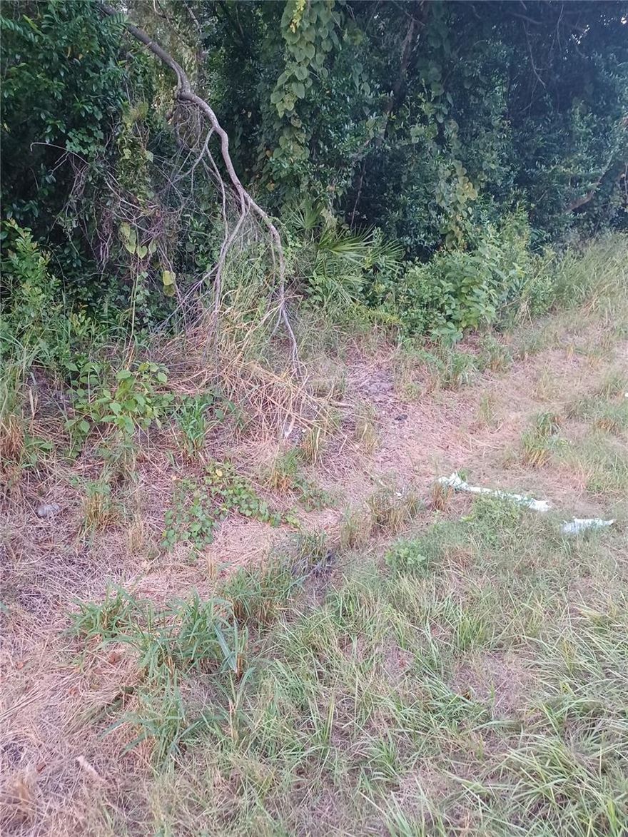 Oversize lot, high and dry close to I-4 and walk to Gemini Springs Park. Lot is almost 2/3 of an acre. Easy commute to Seminole or Orange county.