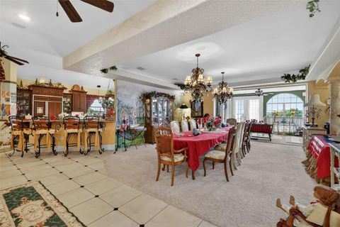 Tiny photo for 17269 SE 260th Avenue Road, Umatilla, FL 32784 (MLS # G5112952)