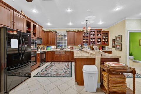 Tiny photo for 17269 SE 260th Avenue Road, Umatilla, FL 32784 (MLS # G5112952)