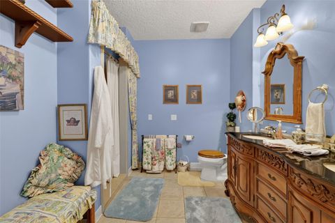 Tiny photo for 17269 SE 260th Avenue Road, Umatilla, FL 32784 (MLS # G5112952)