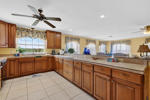 Tiny photo for 17269 SE 260th Avenue Road, Umatilla, FL 32784 (MLS # G5112952)