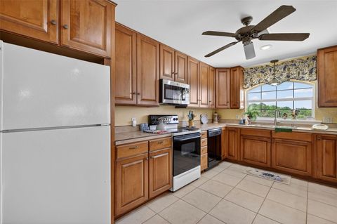 Tiny photo for 17269 SE 260th Avenue Road, Umatilla, FL 32784 (MLS # G5112952)